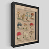 Mushling Identification Shadowbox Art