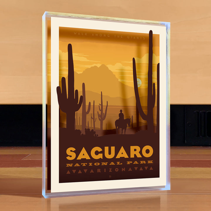 Saguaro National Park Desktop Art