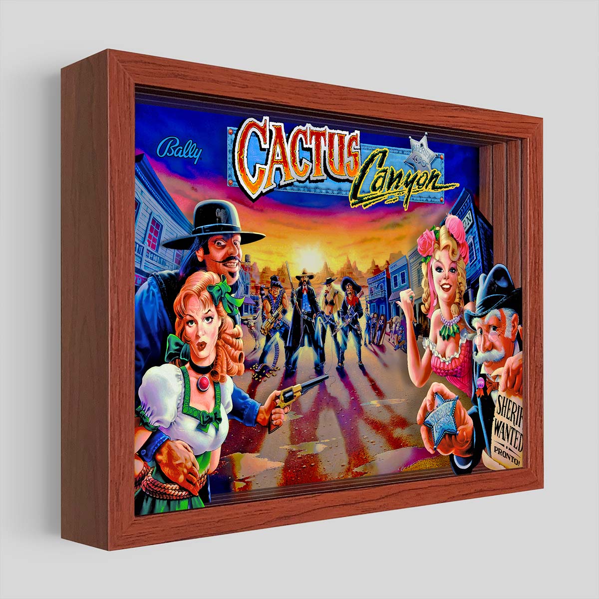 Cactus Canyon Shadowbox Art