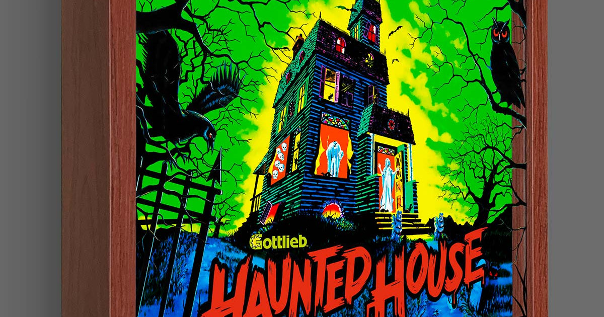 Haunted Vision LED Haunted House Pinball Shadowbox Art | Artovision