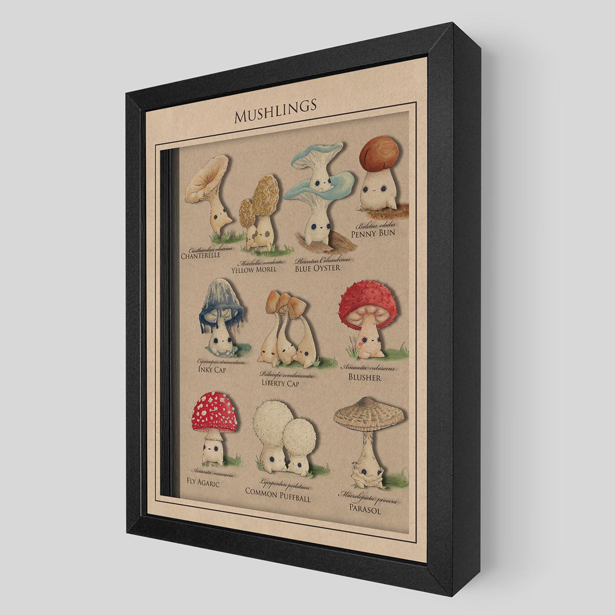 Mushling Identification Shadowbox Art