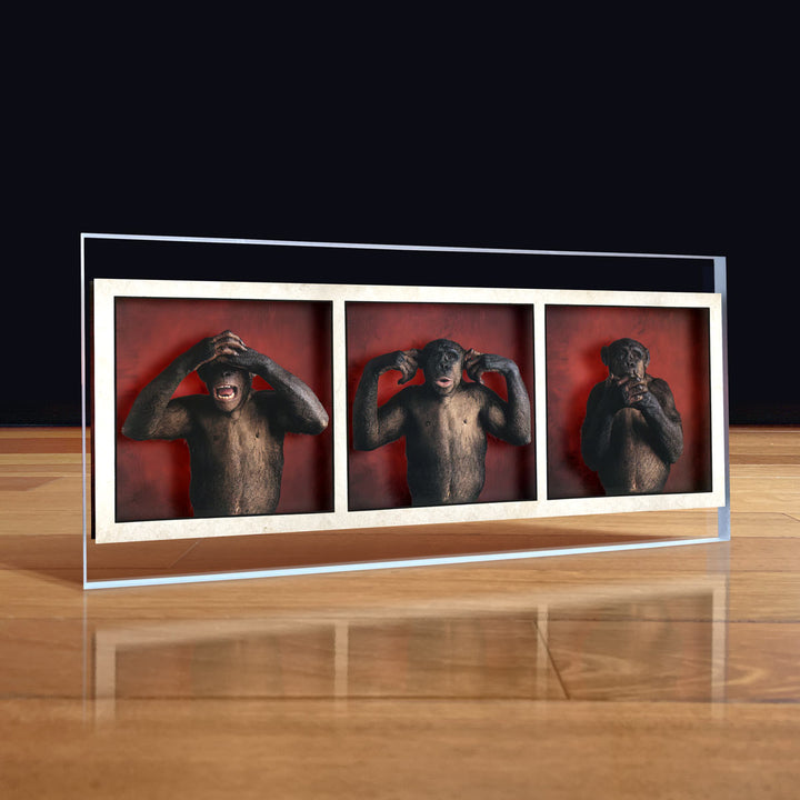 Rush Counterparts Chimps Desktop Art