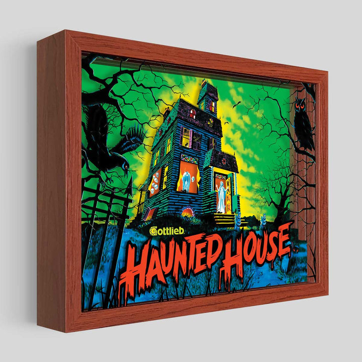 Haunted House Pinball Shadowbox Art