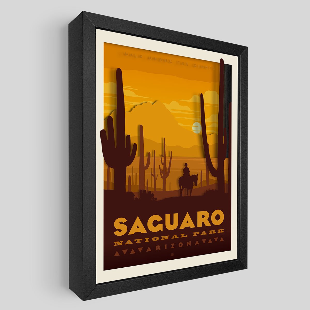 Saguaro National Park Shadowbox Art